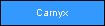 Carnyx